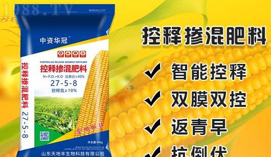 玉米营养钵移栽施肥指南
