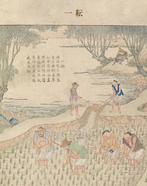耕种与耙田：目的、工具与种植方法大揭秘