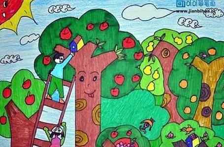 秋天有哪些水果成熟了画一画