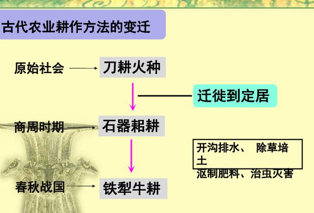 中国传统农业耕作方式的演变历程