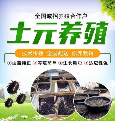 土元养殖真相揭秘：谨防骗局，选对基地