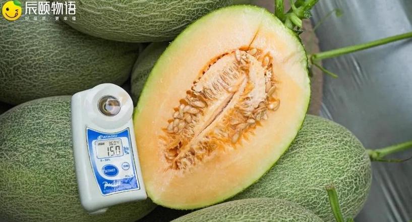 水果甜度对照与排名解析
