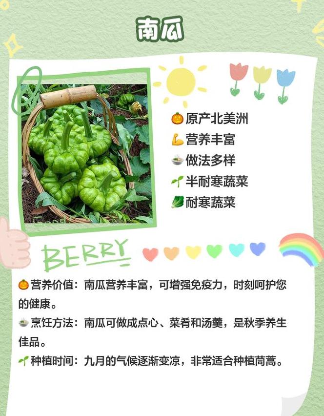 6月份应季的蔬菜南方
