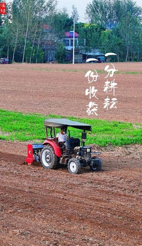 耕作全解析：从播种到收获的农业流程揭秘