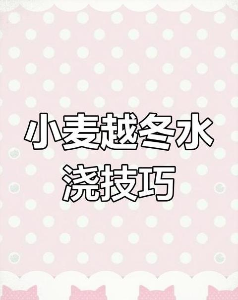 冬小麦越冬浇水量及最佳浇水时间揭秘