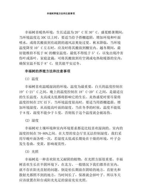 幸福树养护攻略养殖技巧与注意事项详述