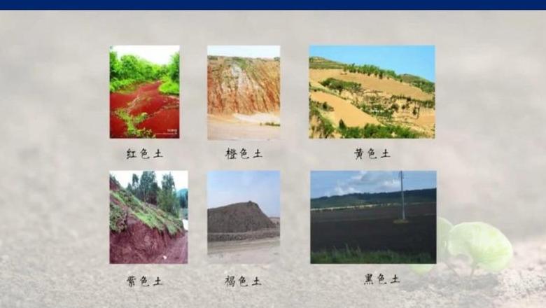 土壤分类与区别指南