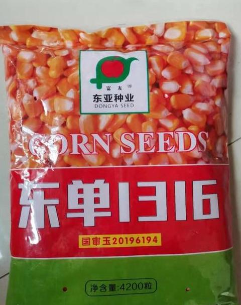东单509玉米品种特性和种植要点
