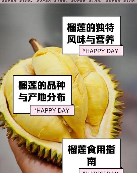 榴莲：揭秘水果之王的奥秘