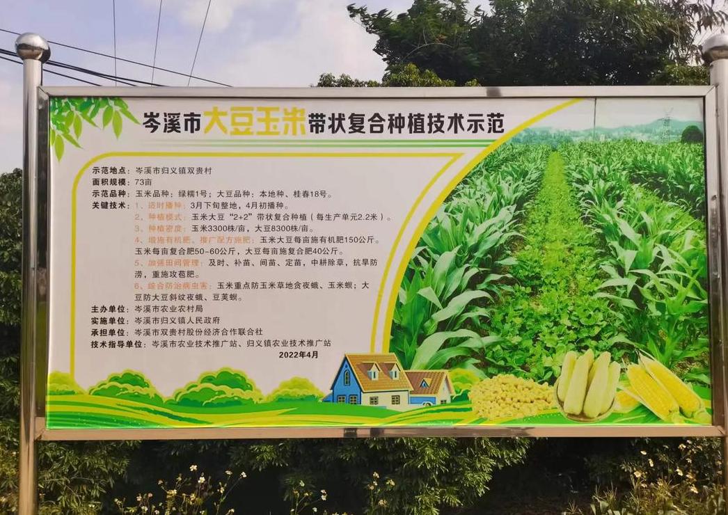 农村创业好项目：揭秘高利润种植与加工项目