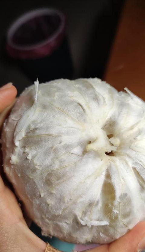 饭前还是饭后？揭秘水果的最佳食用时间