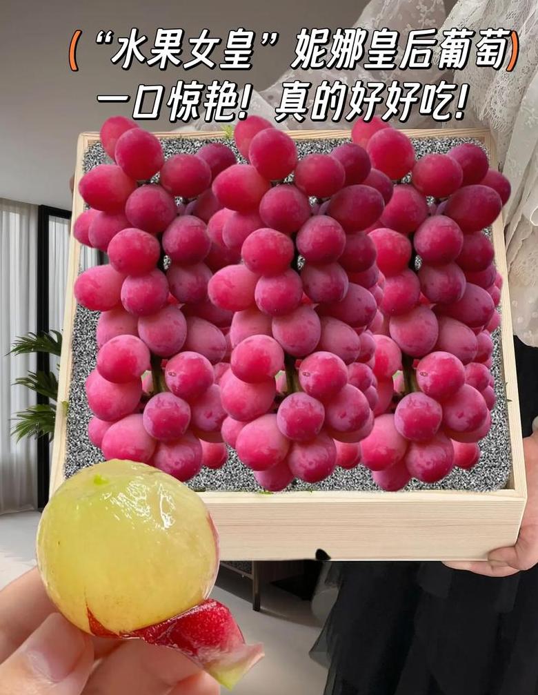 水果之王与皇后大盘点