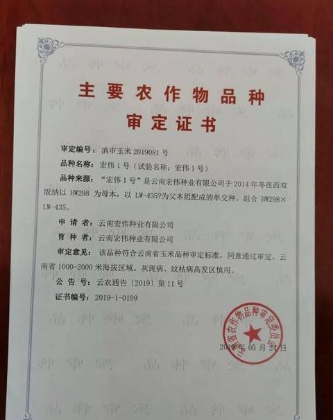 农大108玉米品种审定公告