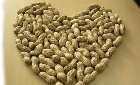 落花生：揭示其谦逊奉献的可贵品质