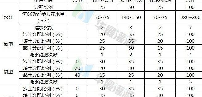 小麦施肥指南：氮磷钾需求与科学施肥技巧