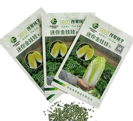 大棚韭菜种植全攻略：从播种到收获的详细步骤