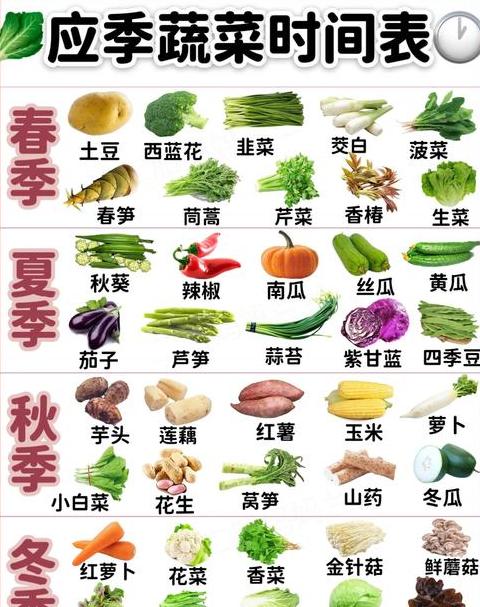南方12月蔬菜种植指南