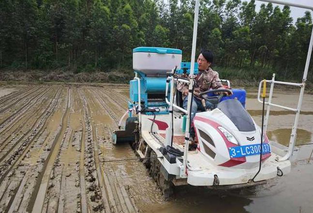 水稻全程机械化种植兴起，农民就业前景如何？