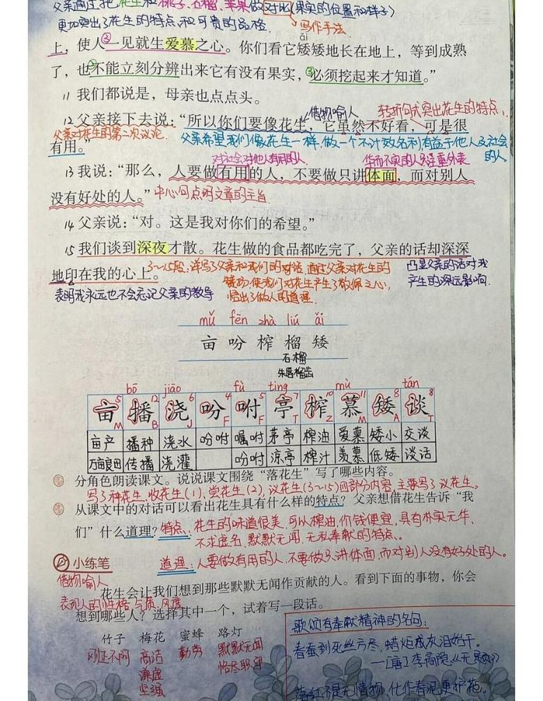 落花生课文五年级上册语文