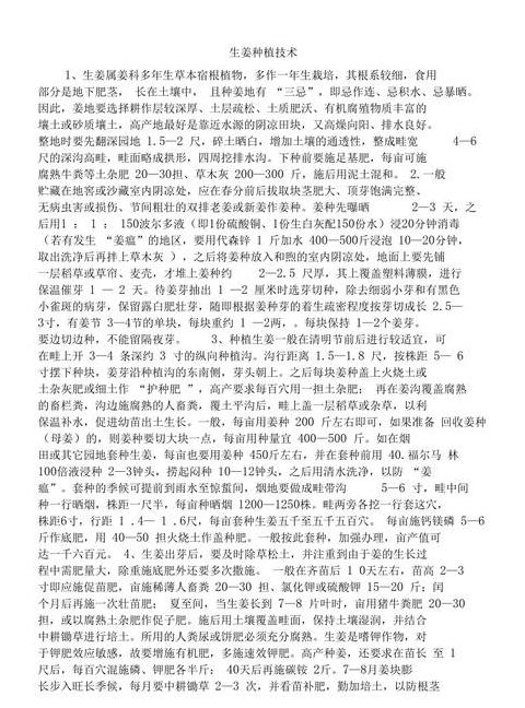 生姜种植全攻略：从选种到管理收获的全程指南