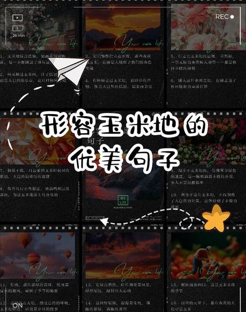 金穗摇曳颂丰收玉米诗韵传真情