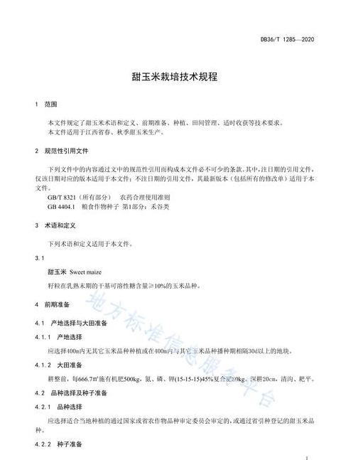 玉米的栽培与管理技术