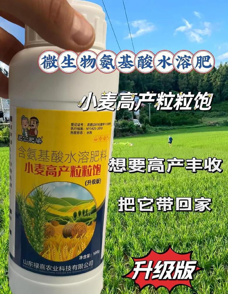 齐民要术揭秘：古代农作物施肥智慧