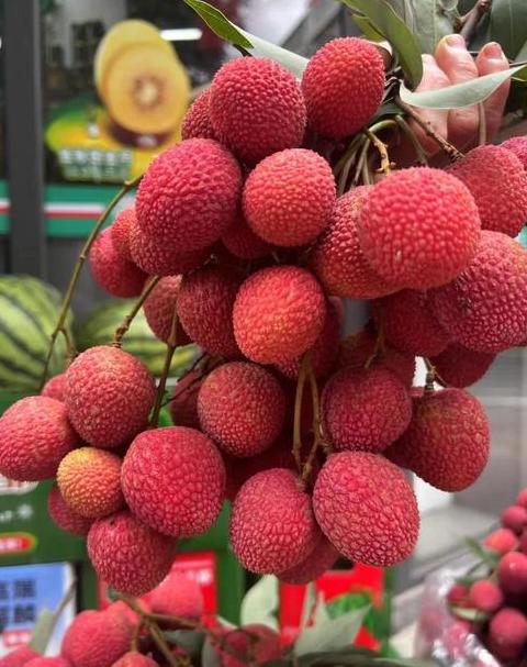 四季常鲜：全年结果的水果盘点