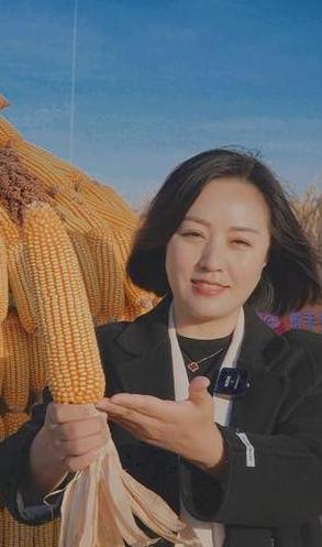 联达坤瑞5522玉米种子