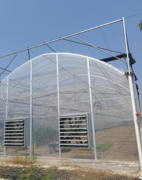 北方蔬菜大棚冬季升温省钱方案解析
