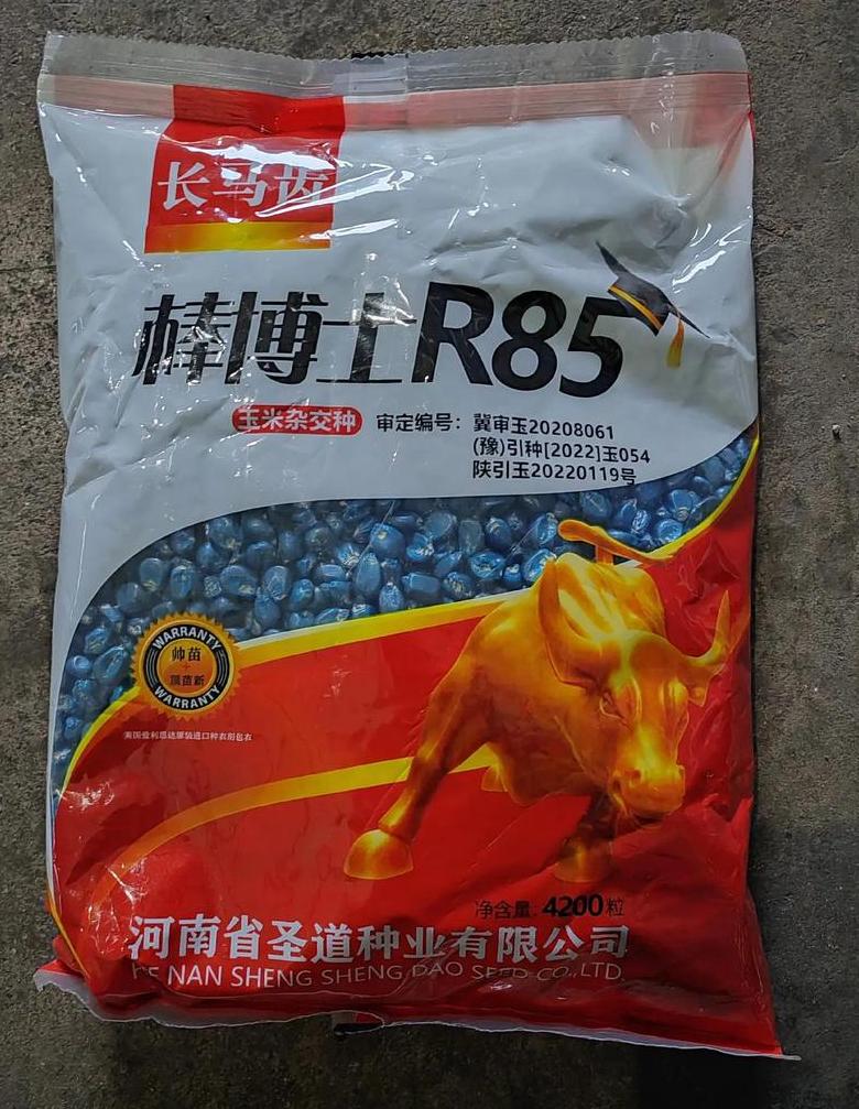 华西836玉米种简介适应区域
