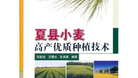 小麦高产栽培关键技术解析