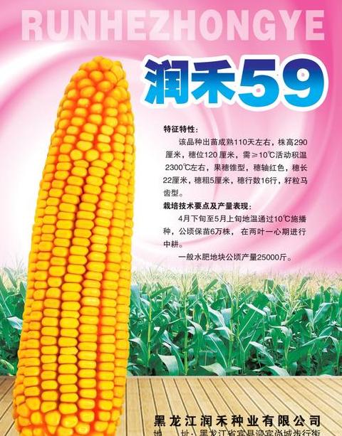 玉米积温带划分与种植指南
