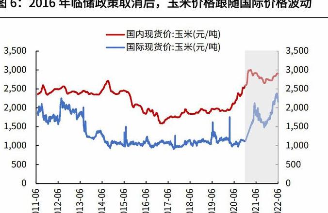 2024年玉米价格走势预测