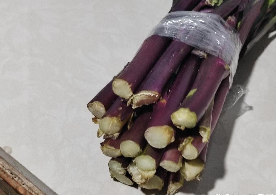 水培蔬菜全攻略：简单方法轻松种植在家