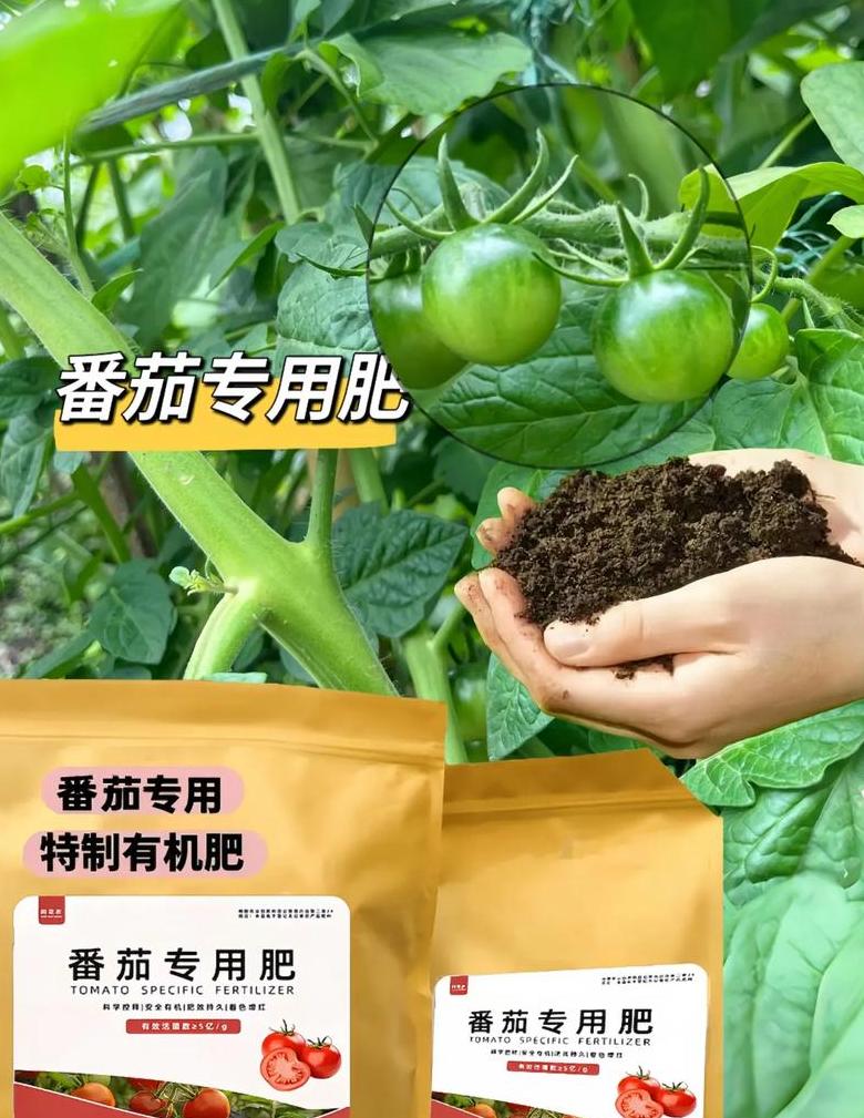 西红柿种植肥料选择全攻略