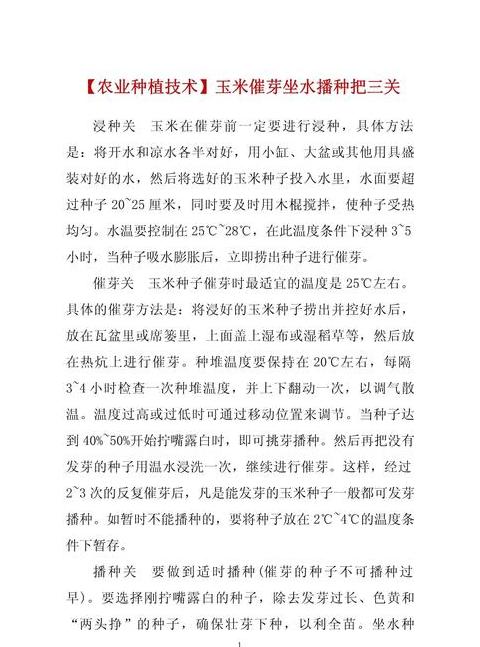 玉米催芽全攻略：实用方法助你快速发芽