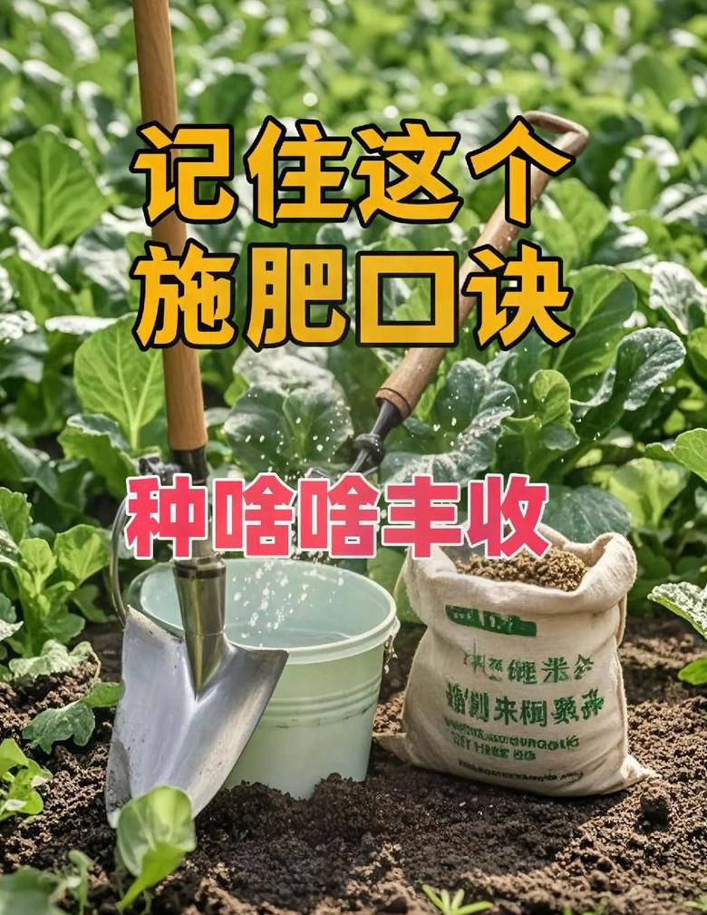 粪水施肥后蔬菜安全食用时间