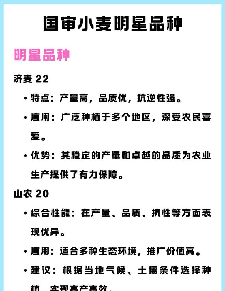 泛麦8号小麦品种介绍