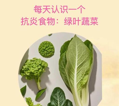 夏日蔬菜挑选攻略：清凉食谱大公开