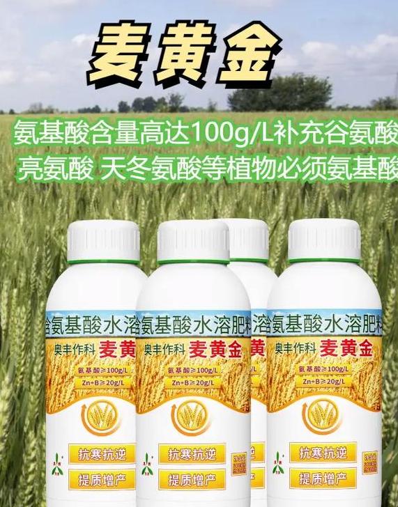 种小麦一亩地复合肥用量指南