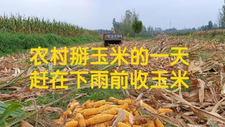日常活动后手腕疼痛原因及缓解方法