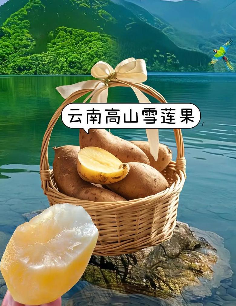 大理美人果：云南达利独享的美味水果揭秘