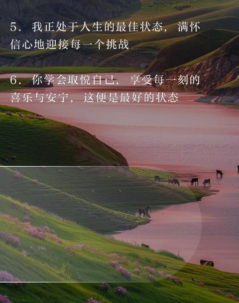 去草原适合发圈的句子