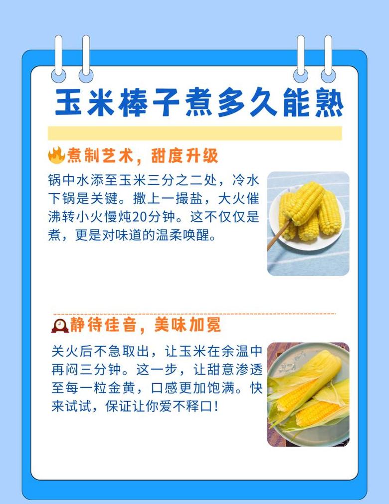 玉米成熟时间详解：全国各地区收获季节一览