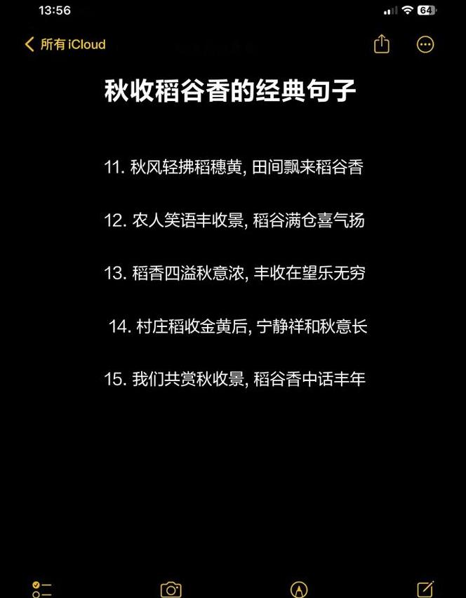 幽默应对晒稻谷：趣味句子大盘点