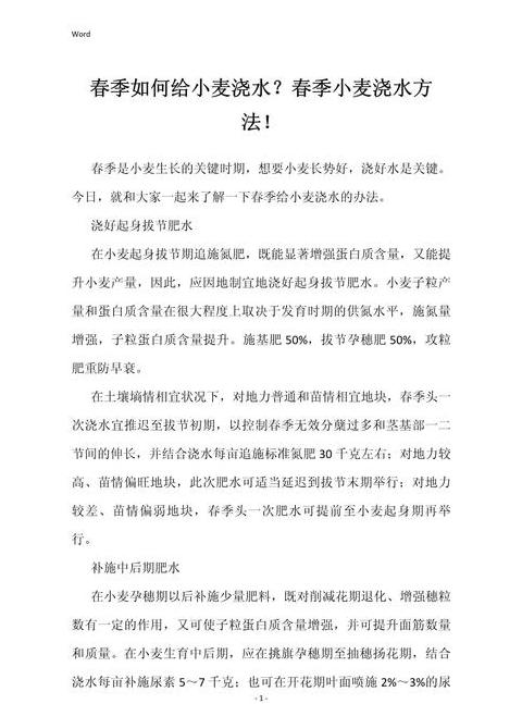 水培小麦种植方法与发芽技巧详解