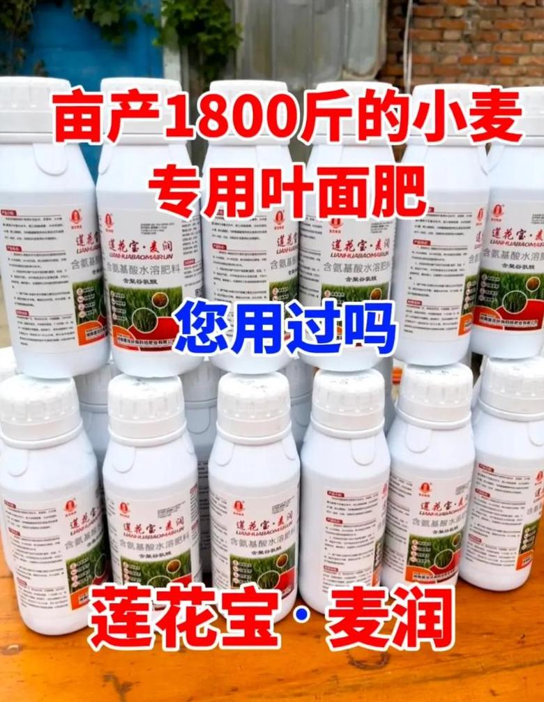 小麦春季施肥最佳时机及肥料选择指南