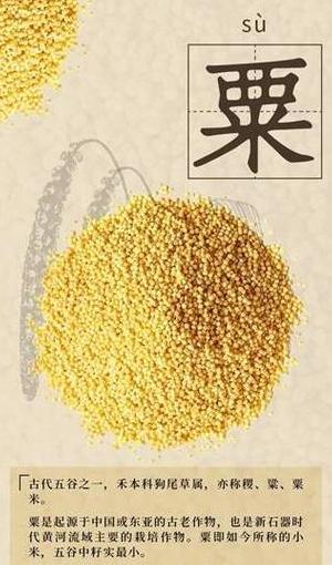 中国南稻北粟分布格局解析
