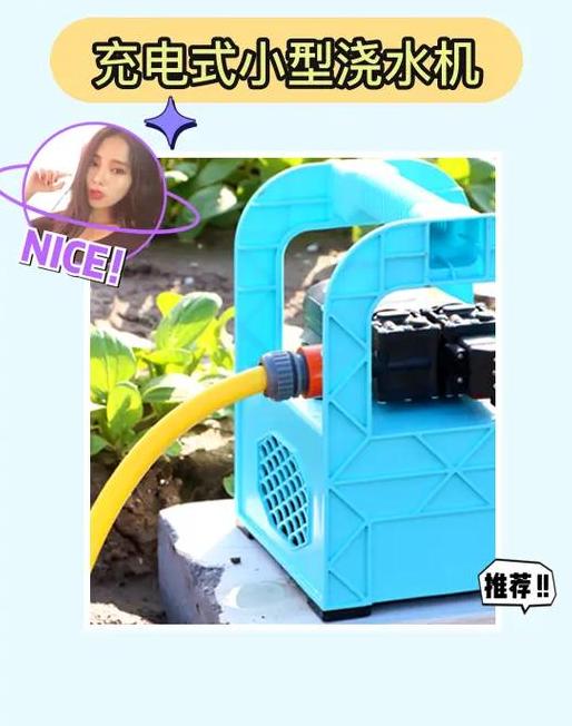 饮料瓶新用途：让废弃塑料变废为宝，揭秘日常生活中的环保小窍门！